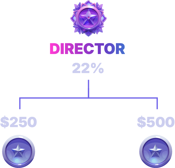 Direct Sales Structure